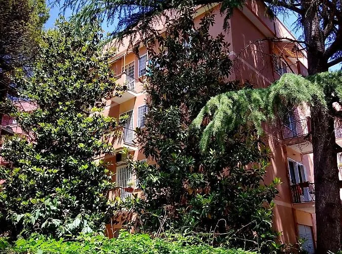 Quarto em Acomodações Particulares Damianoadriano *